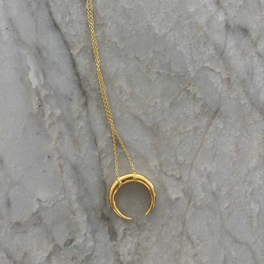 Gorjana long necklace